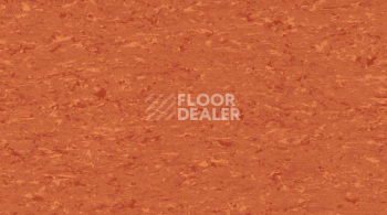 Линолеум Gerflor Mipolam Accord 0315 ORANGE RIVER фото 1 | FLOORDEALER